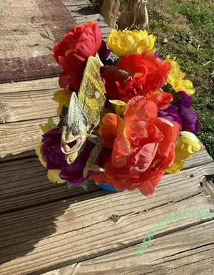 niki.j / nikijofficial nude photo #0043