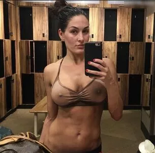 Nikki Bella / nikkigarcia nude photo #0097