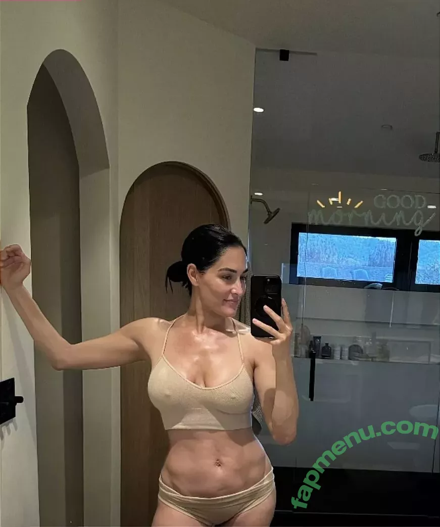 Nikki Bella nude photo #0083 (nikkigarcia)