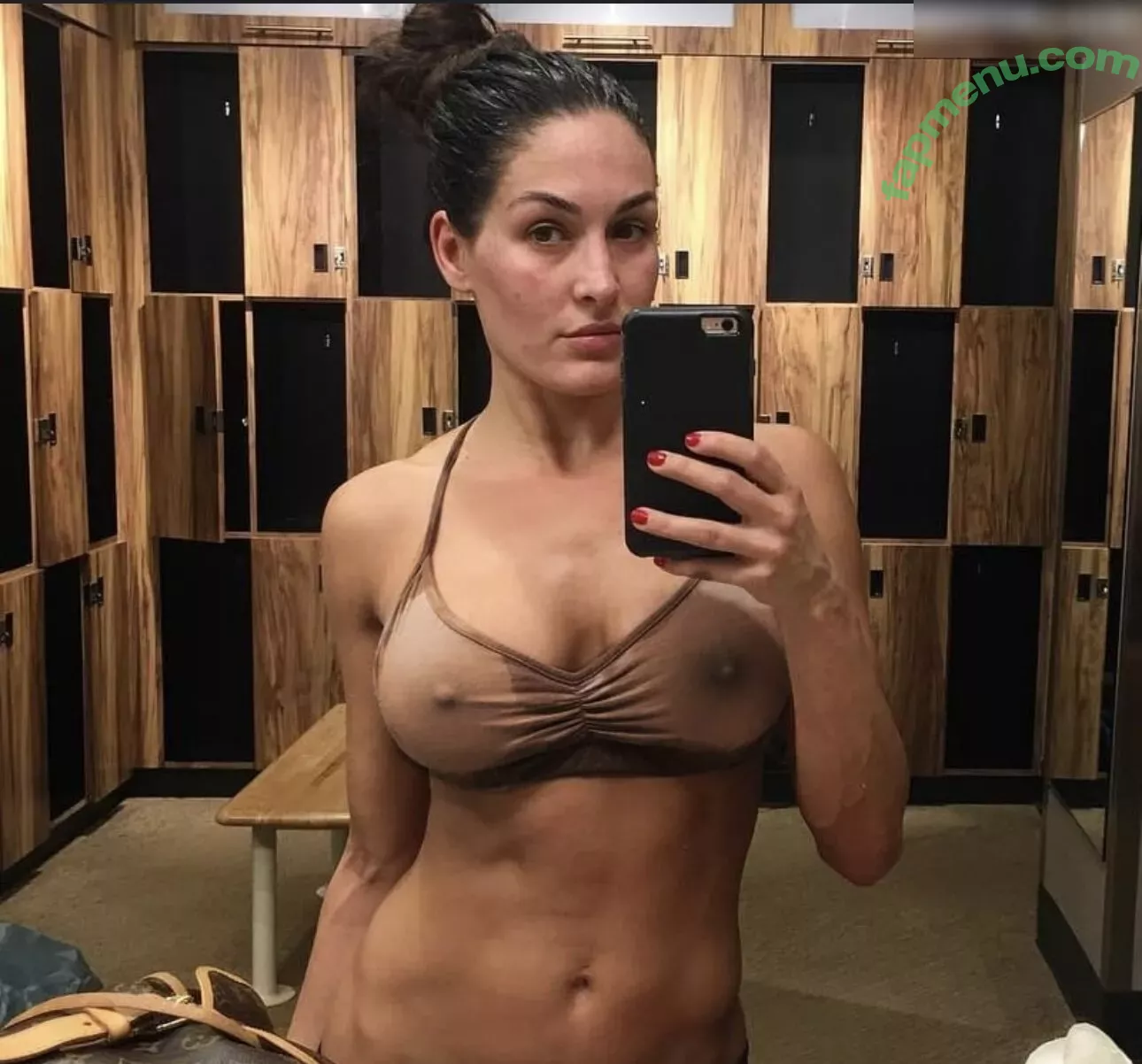 Nikki Bella nude photo #0097 (nikkigarcia)