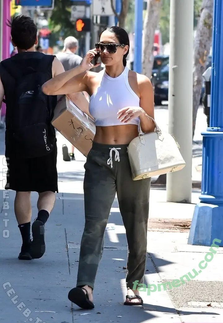 Nikki Bella nude photo #0169 (nikki_bella / nikkigarcia)