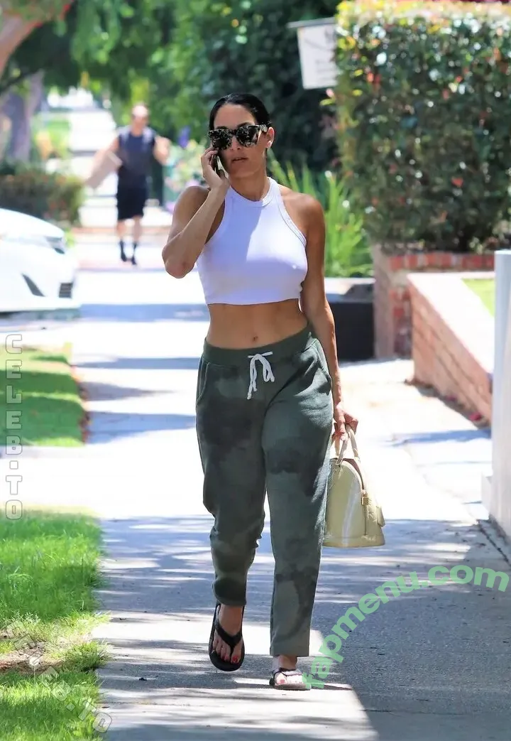 Nikki Bella nude photo #0173 (nikki_bella / nikkigarcia)