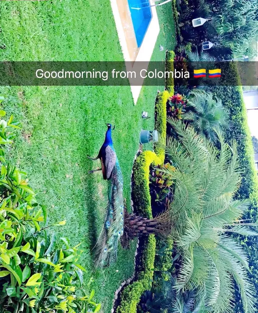 nikkidelano nude photo #0185 (nikkidelano)