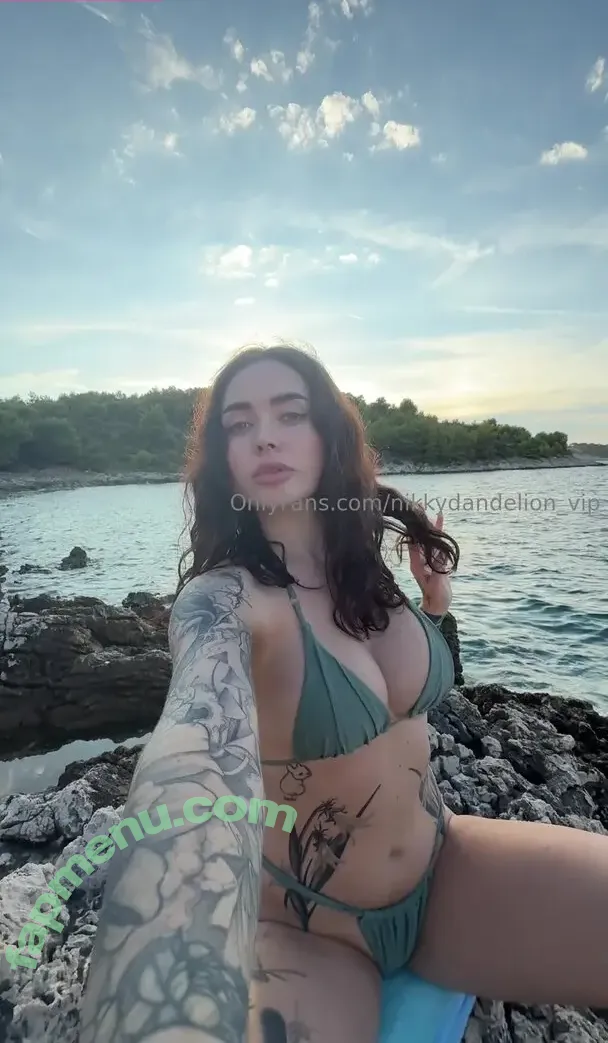 nikkydandelion_vip nude photo #0050 (iamnikkydandelion)