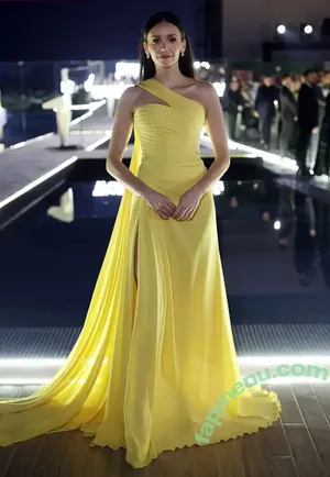 Nina Dobrev / nina / nina_dobrev nude photo #2587