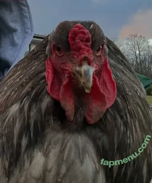 Nina Janova / ninajanova nude photo #0021