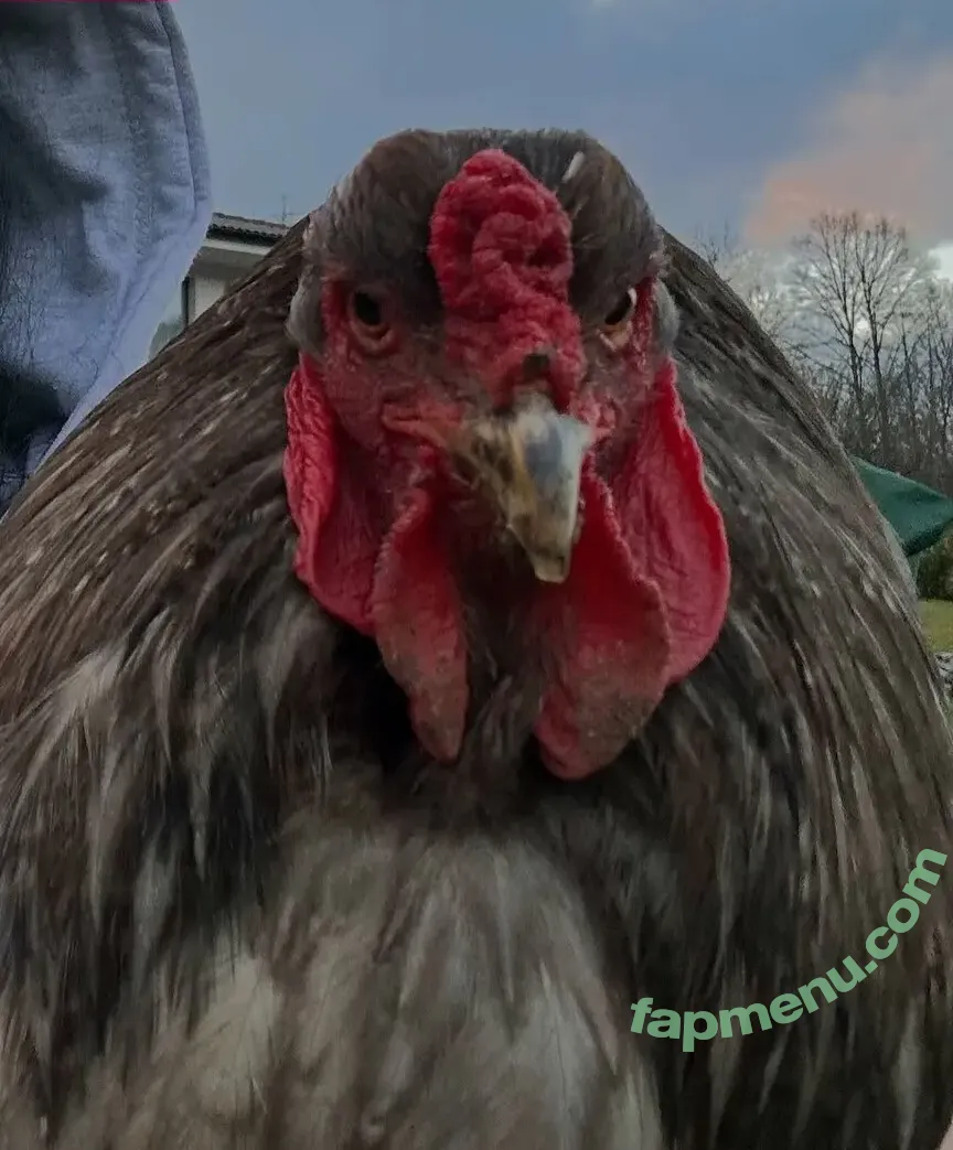 Nina Janova nude photo #0021 (ninajanova)