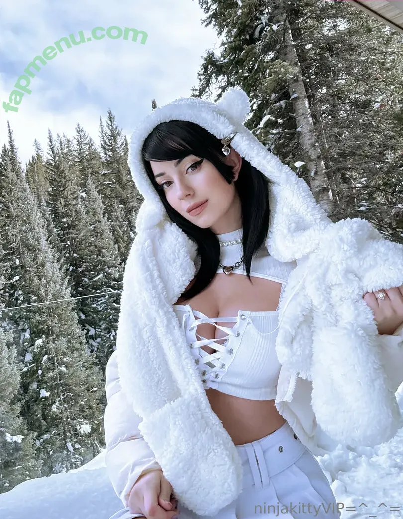 ninjakittyvip nude photo #0017 (aslamedwin)