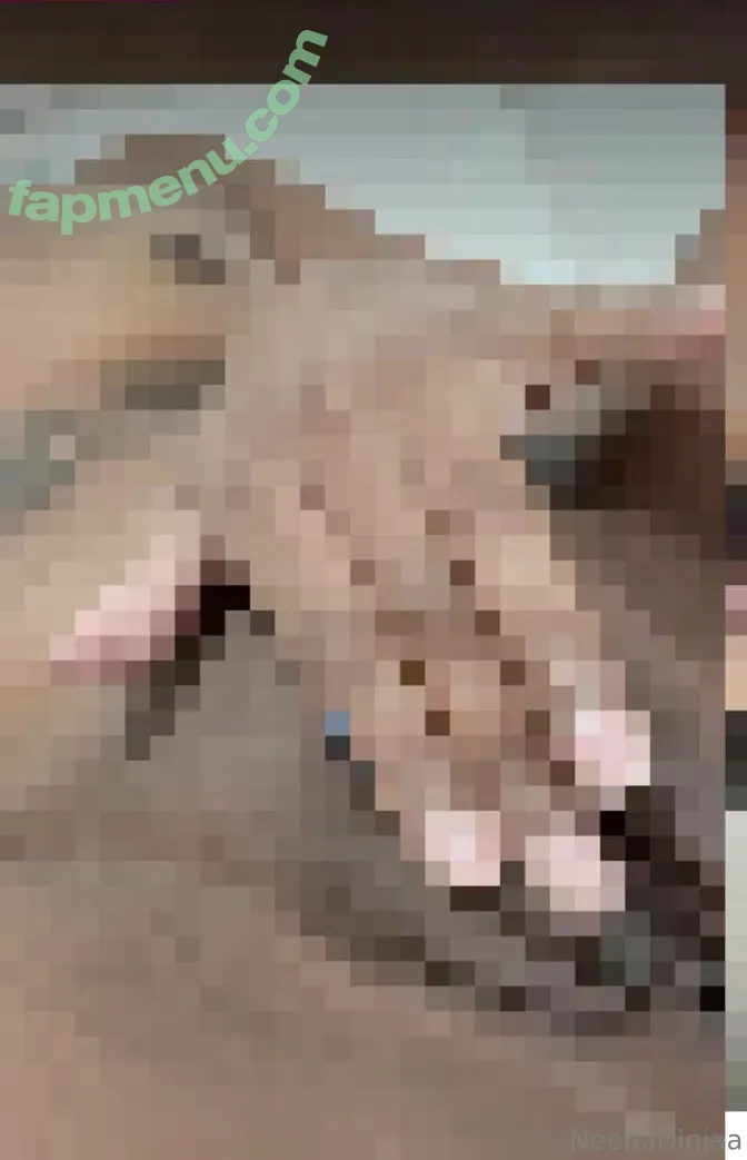 Ninjanextdoor nude photo #0180 (ninjanextdoorr)