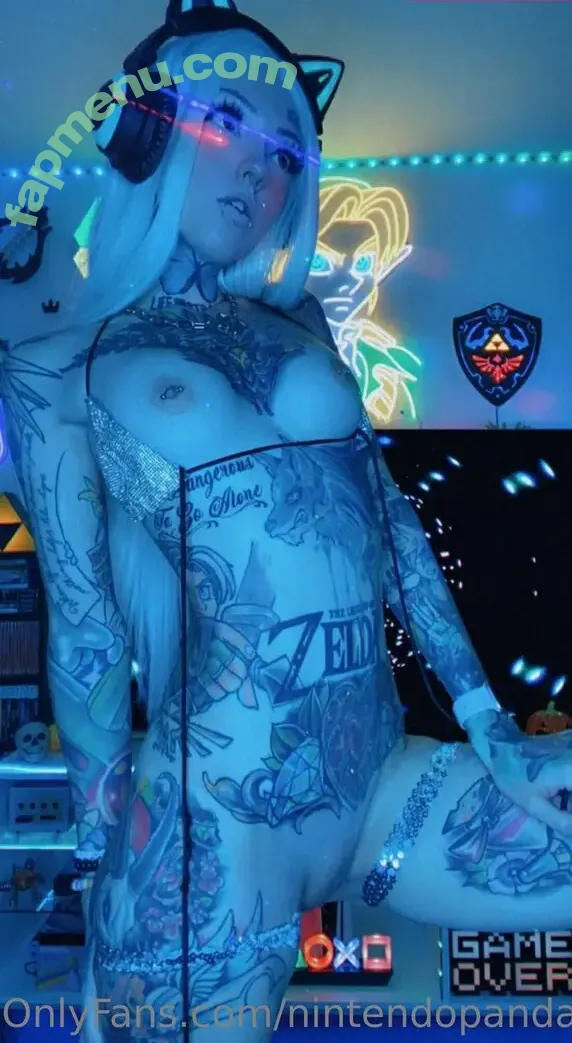 NintendoPanda nude photo #0026 (nintendo.panda)