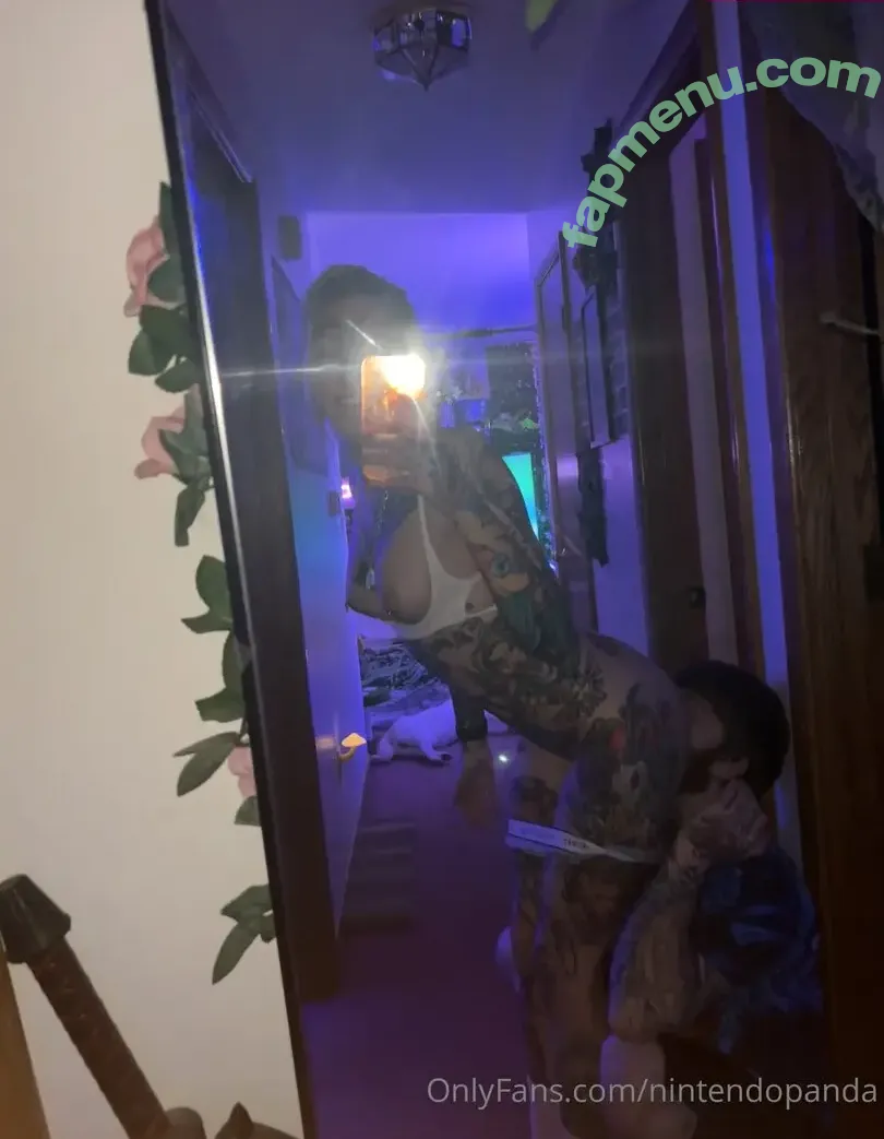 NintendoPanda nude photo #0361 (nintendo.panda)