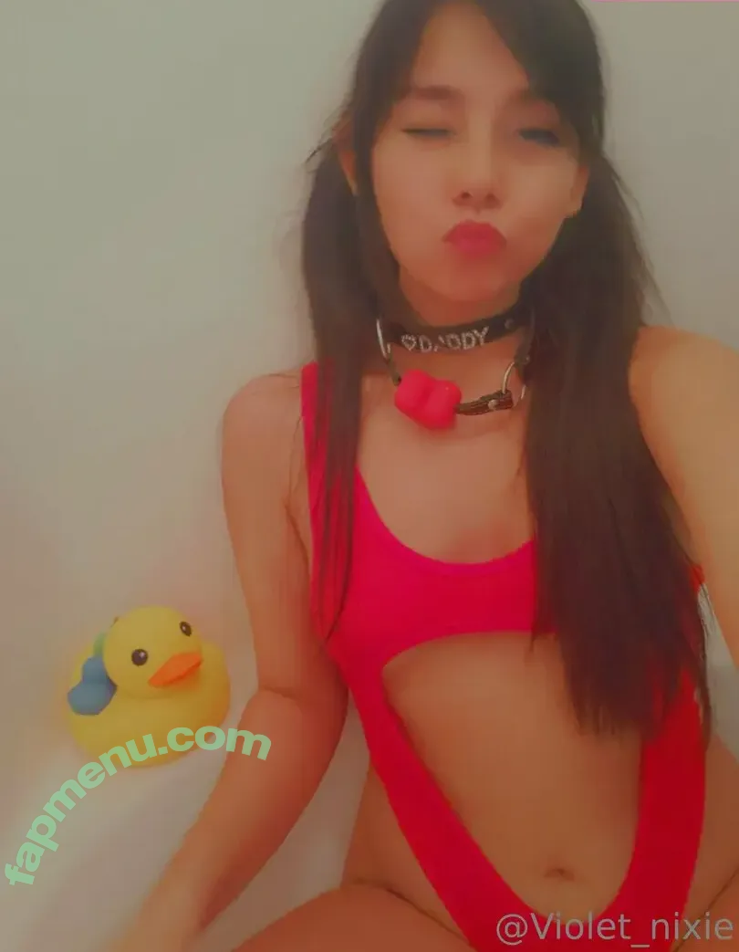 nixiepixiev nude photo #0025 (the_nixie_pixie)