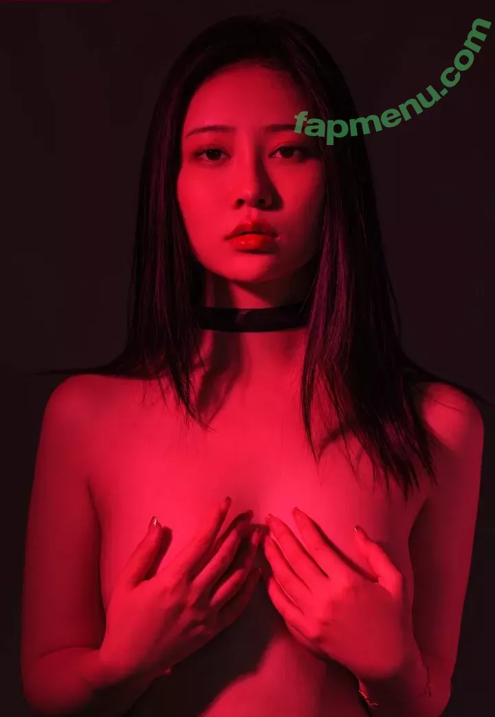 nnian_ nude photo #0170 (nianlin / nnian_011)