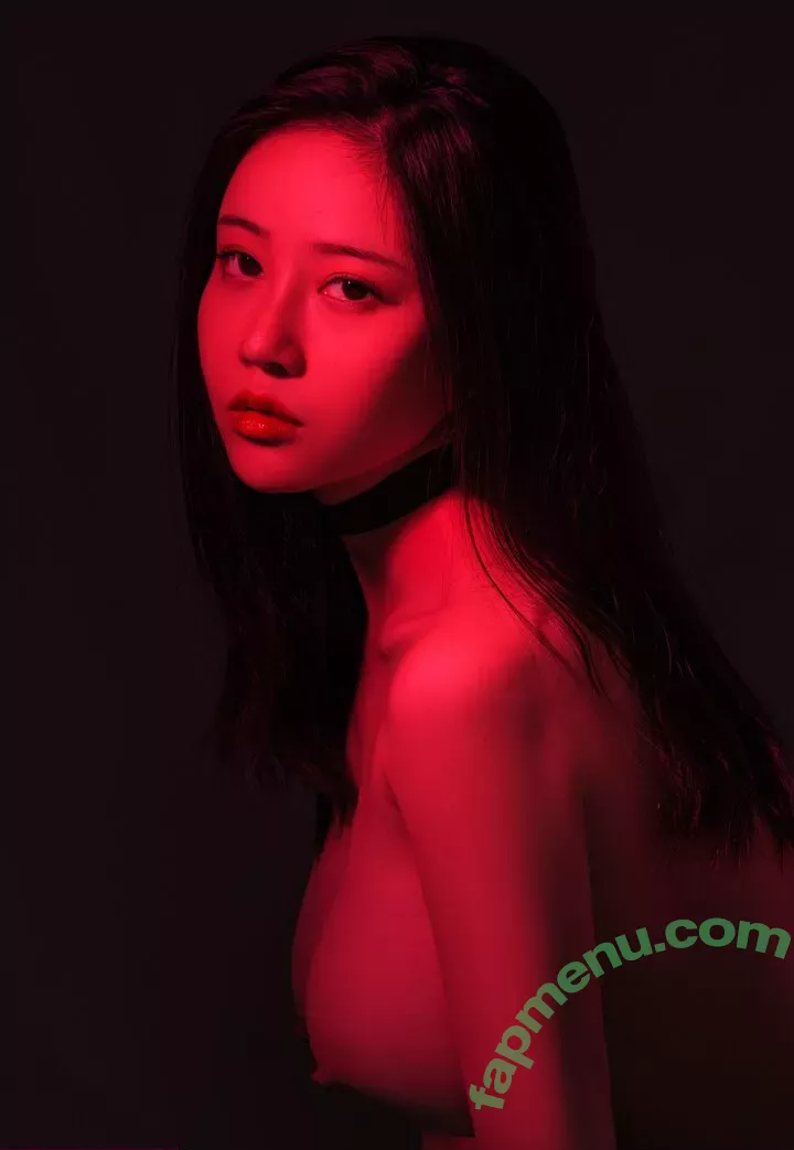 nnian_ nude photo #0174 (nianlin / nnian_011)