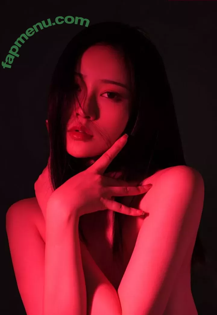 nnian_ nude photo #0175 (nianlin / nnian_011)