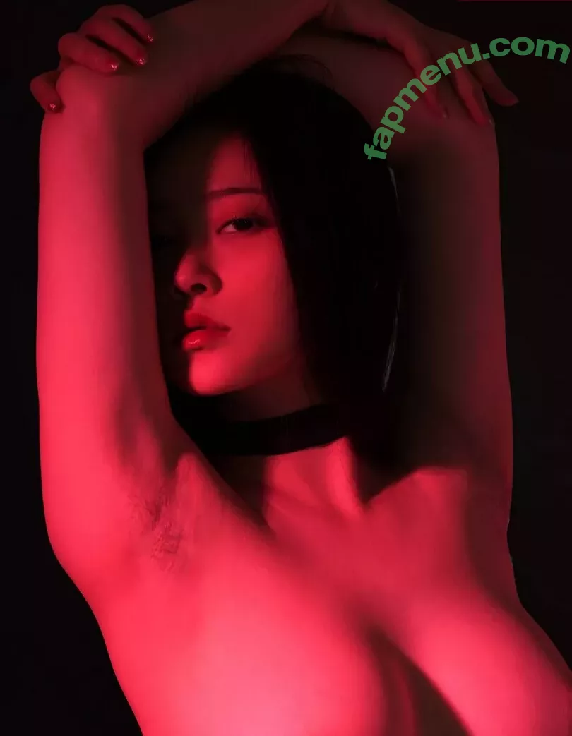 nnian_ nude photo #0177 (nianlin / nnian_011)