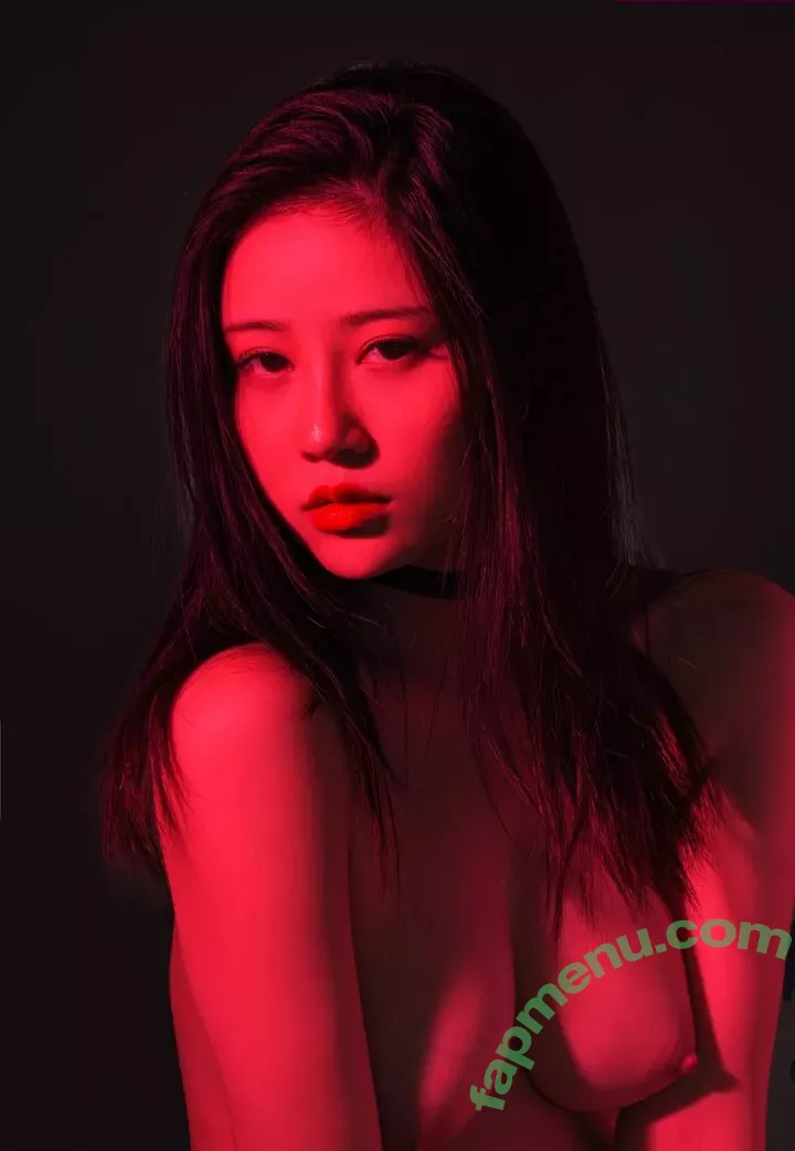 nnian_ nude photo #0181 (nianlin / nnian_011)