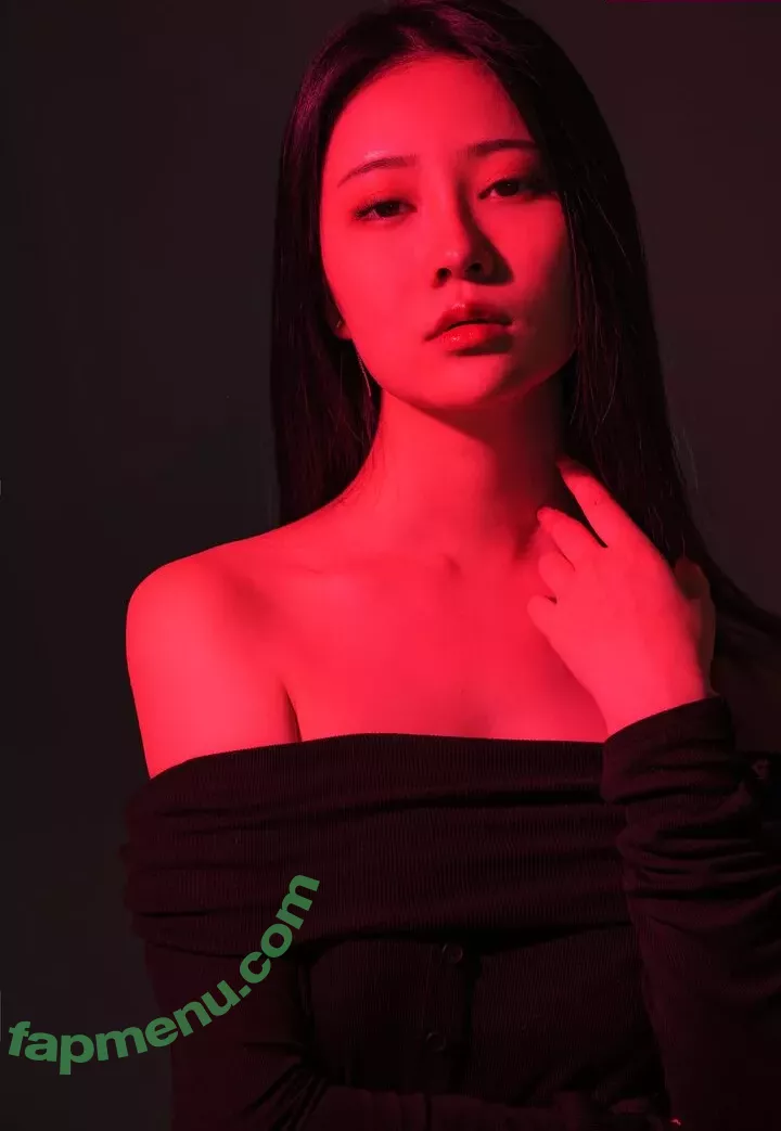 nnian_ nude photo #0183 (nianlin / nnian_011)