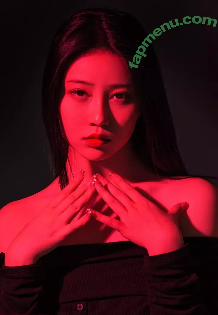 nnian_ nude photo #0184 (nianlin / nnian_011)