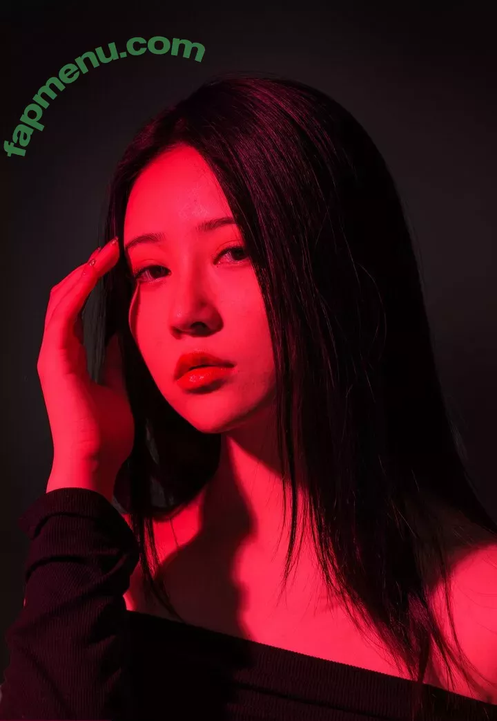 nnian_ nude photo #0185 (nianlin / nnian_011)