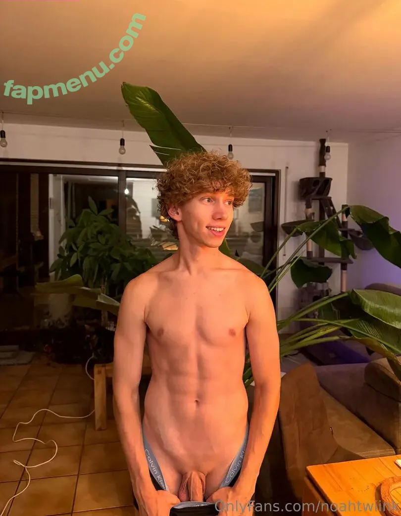 noahtwiink nude photo #0019 (noahtwiink)