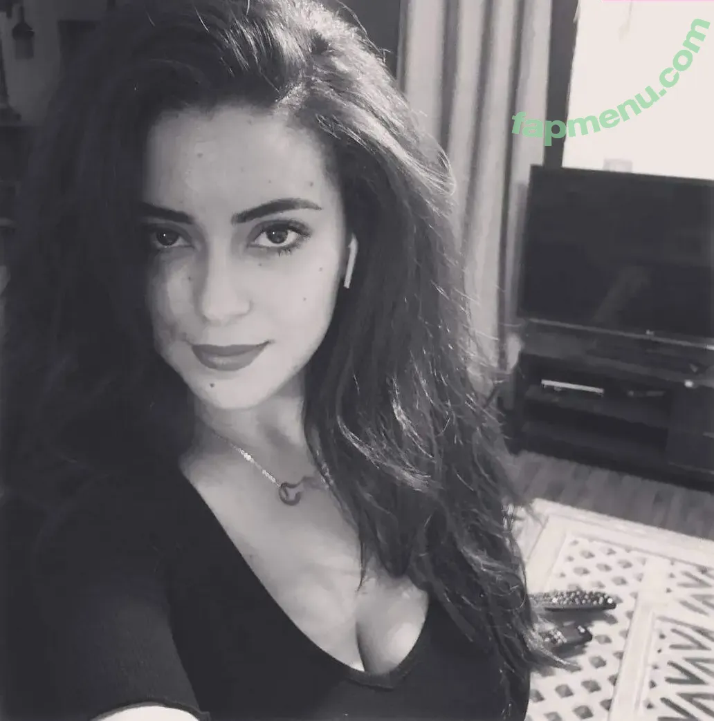 Noha Abdin nude photo #0057 (noha.abdin.official)