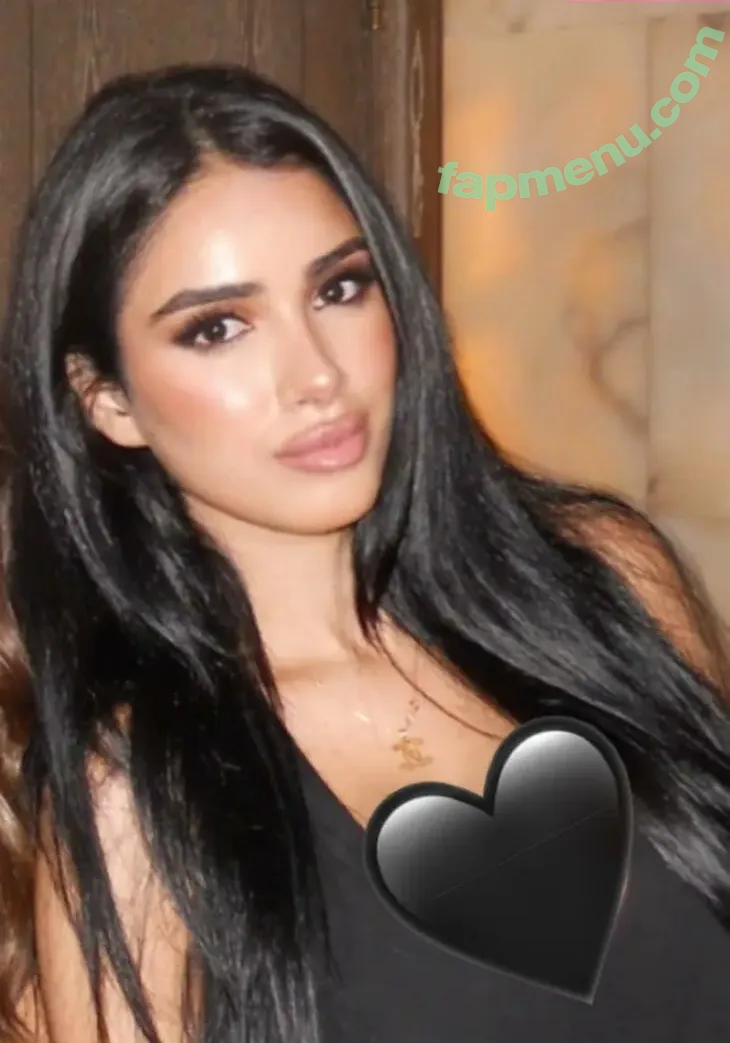 Noora Hejaz nude photo #0035 (noorhejaz)