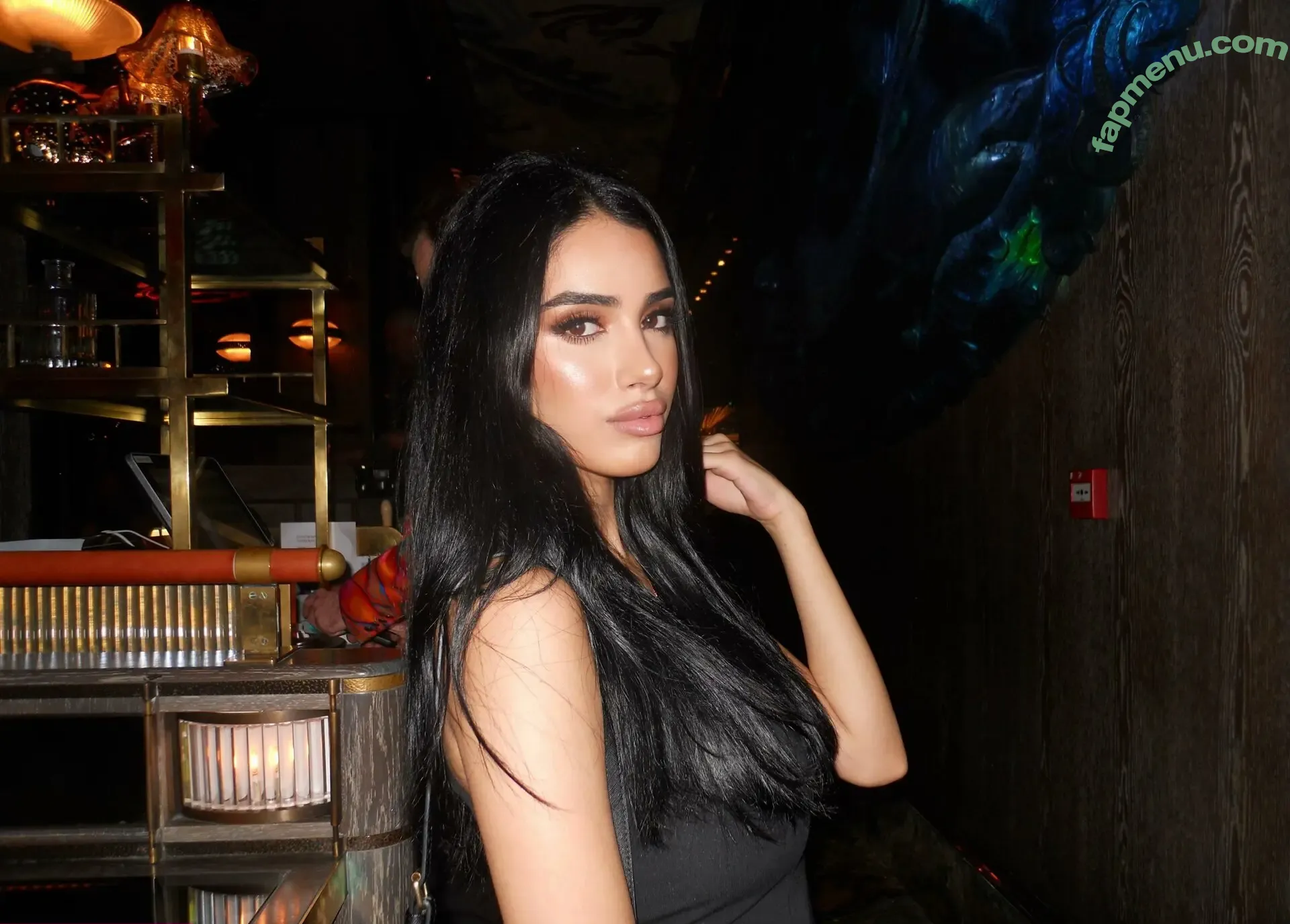 Noora Hejaz nude photo #0042 (noorhejaz)