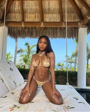 Normani / normani.sasha nude photo #0040