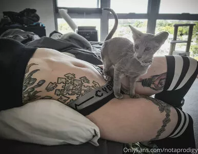 Notaprodigy nude photo #0242