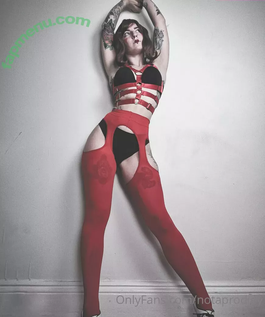 Notaprodigy nude photo #0014 (Notaprodigy)