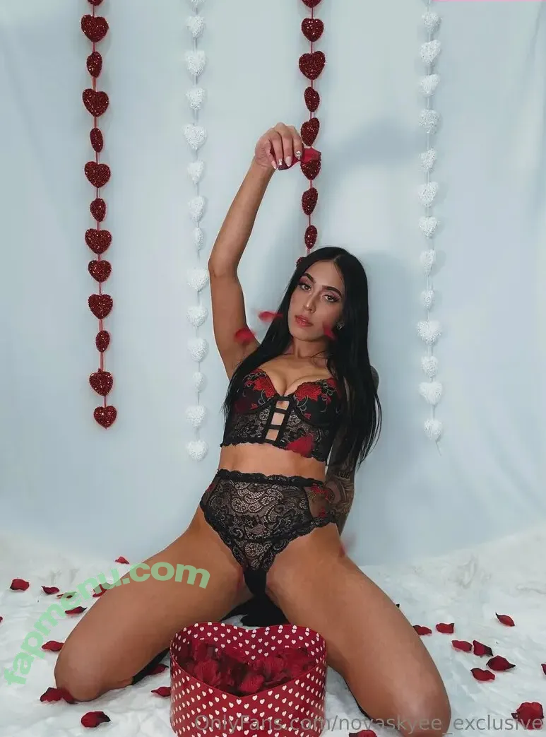 novaskyee_exclusive nude photo #0067 (novaskyee_exclusive)
