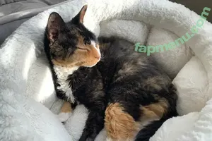 Nyomi Star / Goddess Menhit / Sexy_NyomiXX / lovewithempathy / nyomistar nude photo #0076