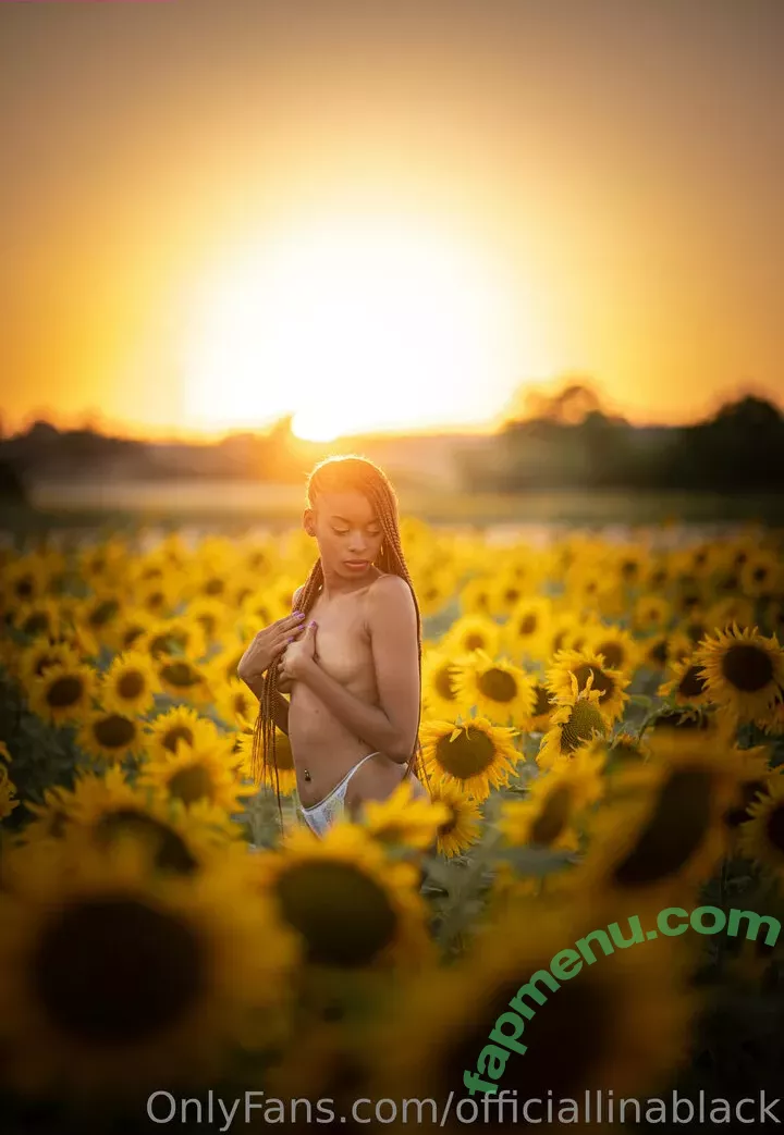 officiallinablack nude photo #0018 (lina___black)