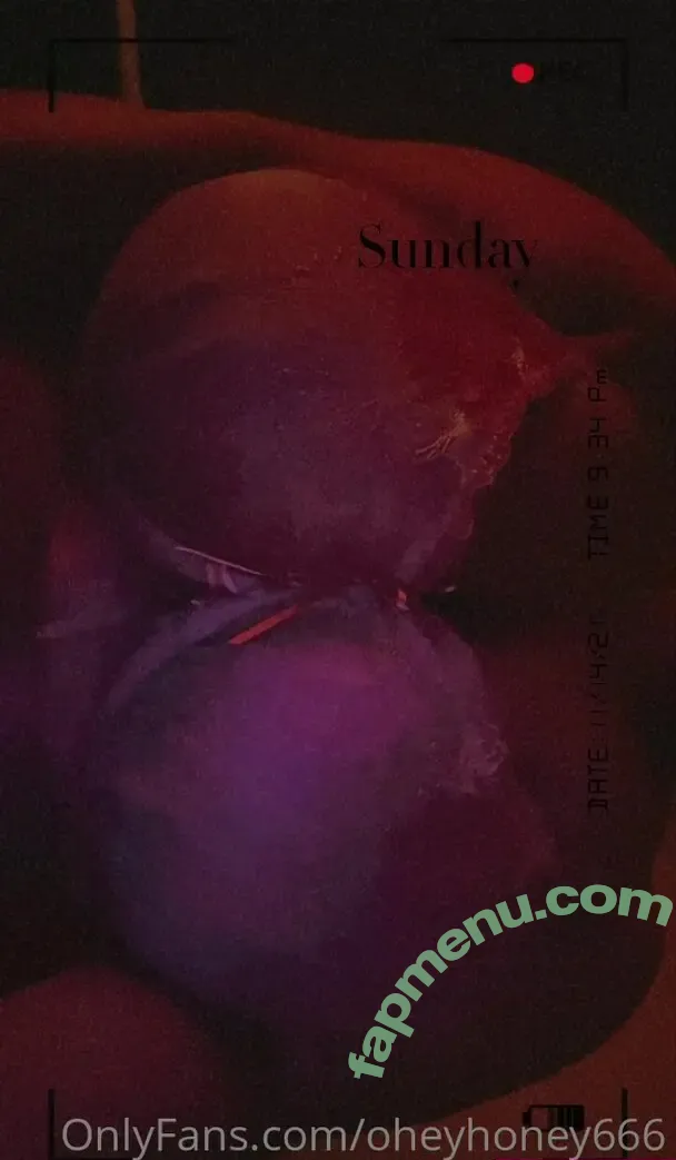 oheyhoney666 nude photo #0011 (itshoney666_)