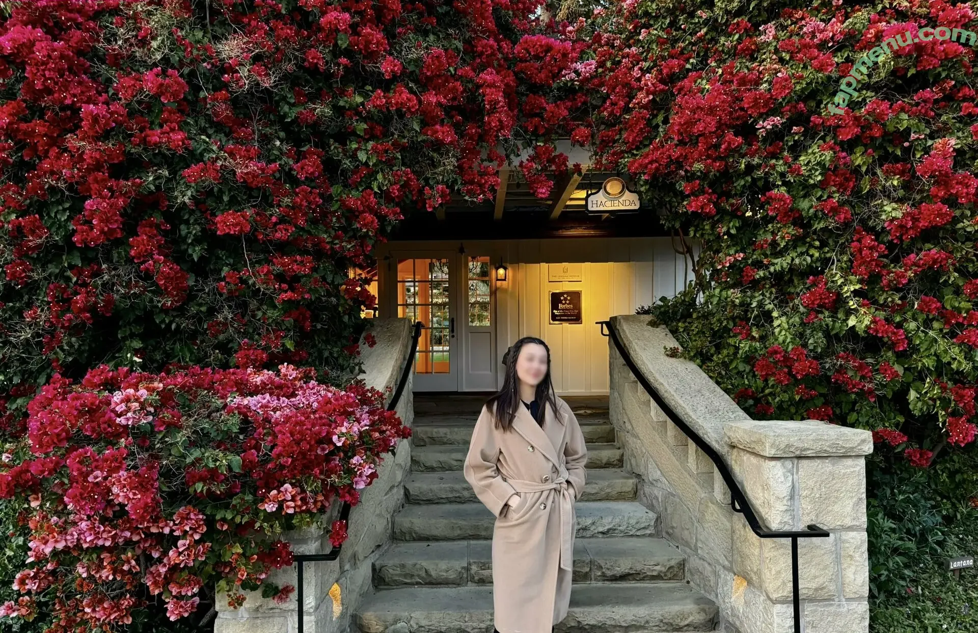 Olive Oren nude photo #0009 (Olive_Oren / oliveoren / oliveoren_losangeles)