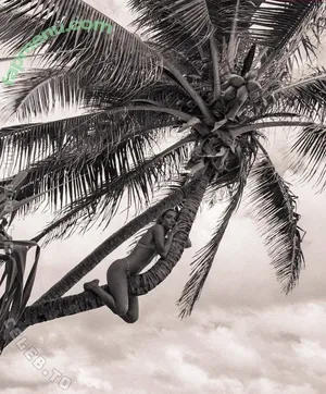 Olivia Ponton / iamoliviaponton / olivia.ponton / olivia_ponton / oliviaponton9366 nude photo #4503