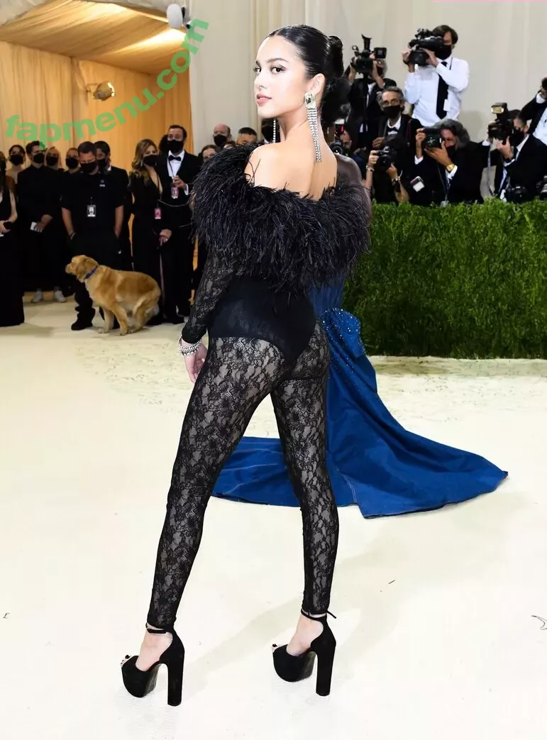 Olivia Rodrigo nude photo #2213 (oliviarodrigo)