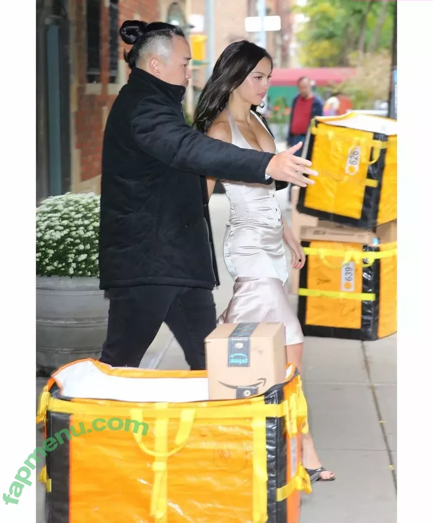 Olivia Rodrigo nude photo #3206 (oliviarodrigo)