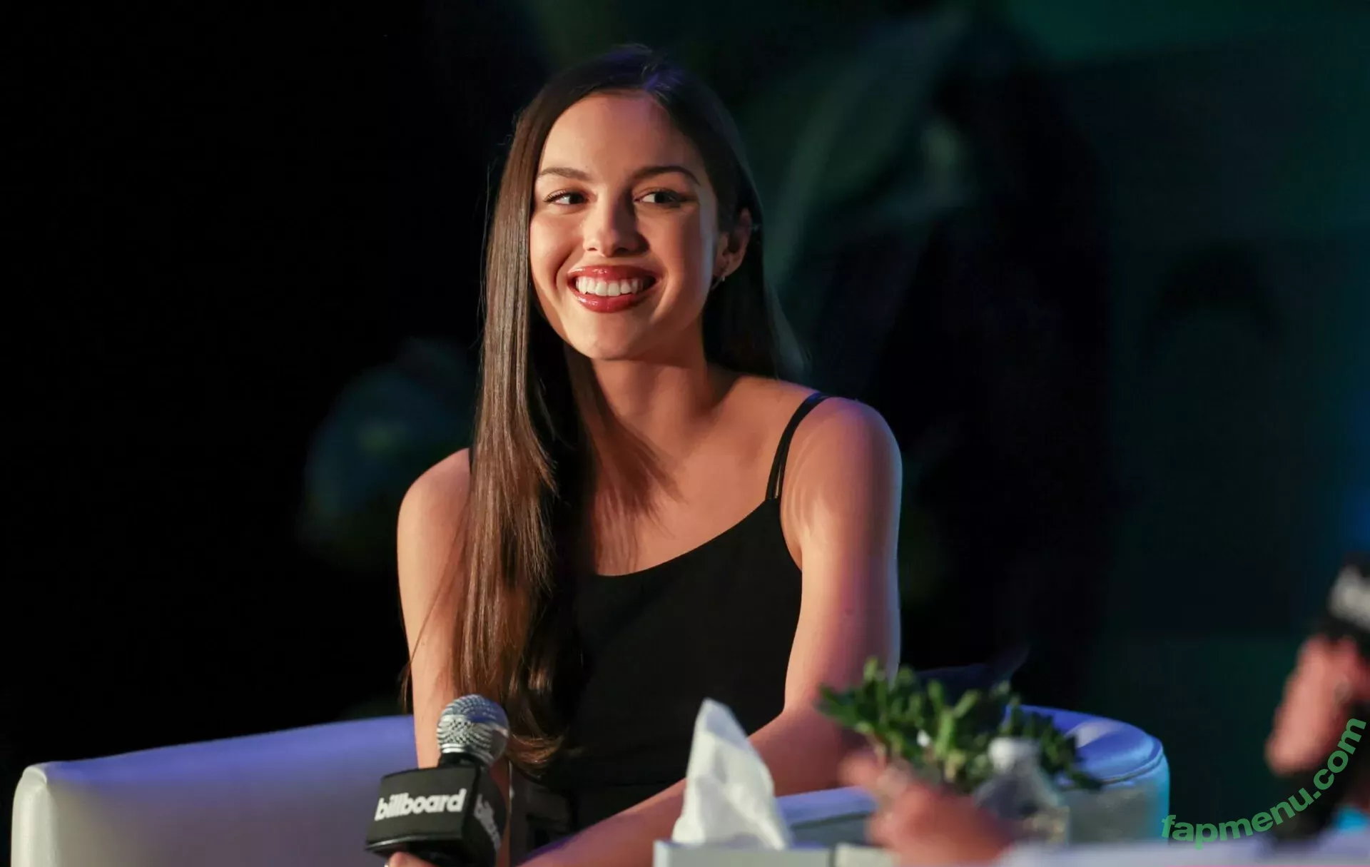 Olivia Rodrigo nude photo #3383 (oliviarodrigo)