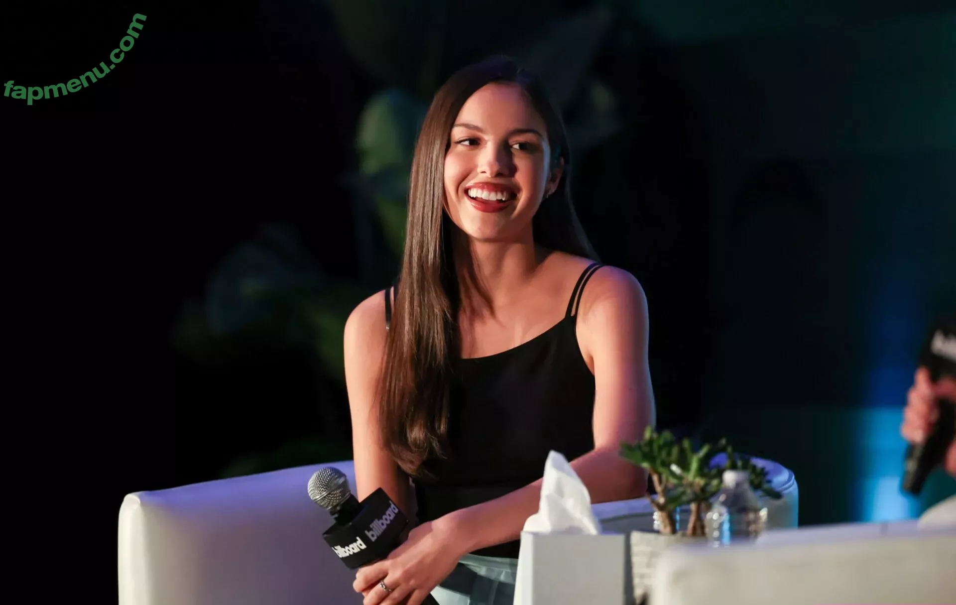 Olivia Rodrigo nude photo #3388 (oliviarodrigo)