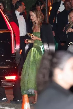 Olivia Wilde / olivia_wilde22 / oliviawilde nude photo #2967