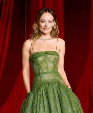 Olivia Wilde / olivia_wilde22 / oliviawilde nude photo #2975