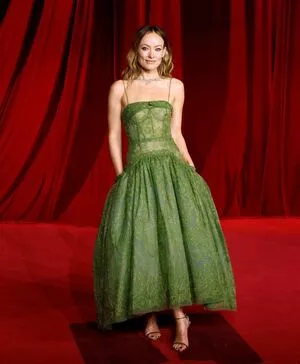 Olivia Wilde / olivia_wilde22 / oliviawilde nude photo #2979