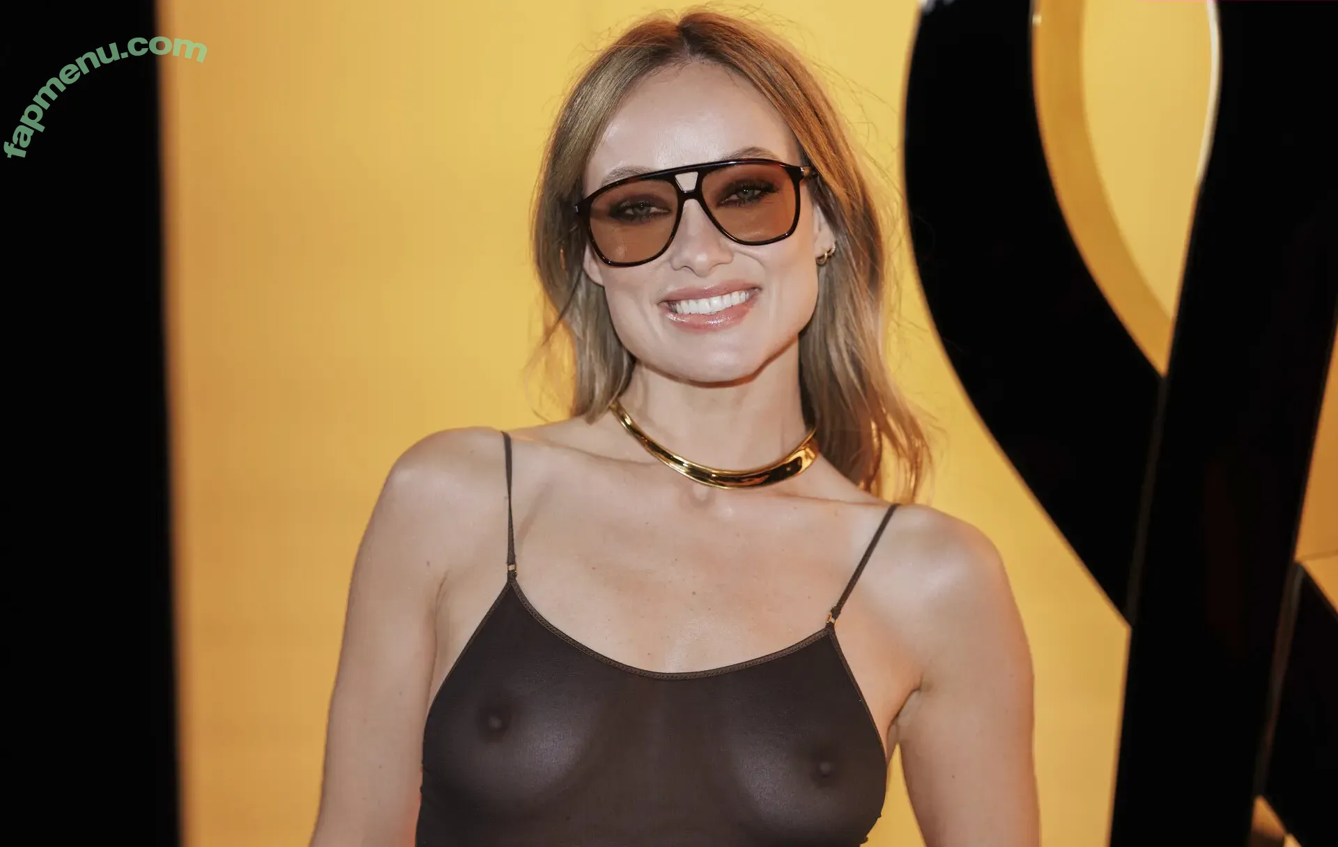 Olivia Wilde nude photo #3479 (olivia_wilde22 / oliviawilde)