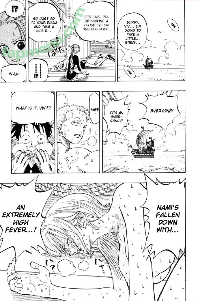 One Piece nude photo #1914 (kiiingkrystal / onepiece_staff)