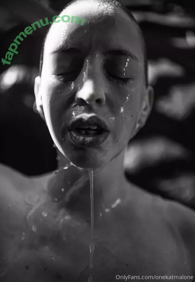 Onekatmalone nude photo #0115 (onekatpaw)