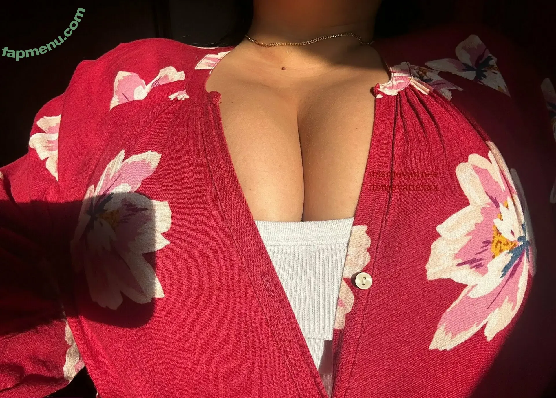 only.vanee nude photo #0010 (lynaevanee)