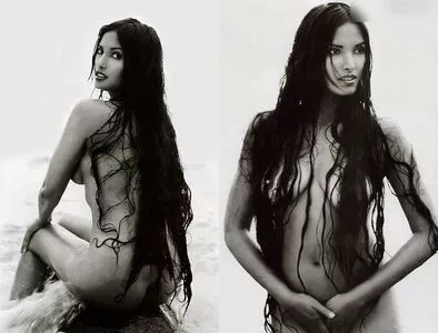 Padma Lakshmi / PadmaLakshmi nude photo #0294