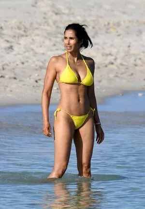 Padma Lakshmi / PadmaLakshmi nude photo #0414